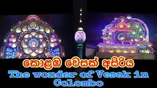 The wonder of Vesak in Colombo 🙏 කොළඹ වෙසක් අසිරිය Travel With Me Ashoka Bandara #wesak #festival