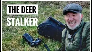 Deer Stalker Uk Wildlife