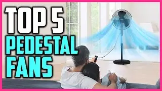 Top 5 Best Pedestal Fans Reviews in 2022