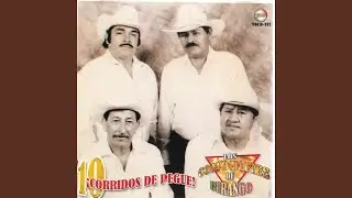 Los Amarradores