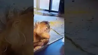 😂😂😂😂😂😂