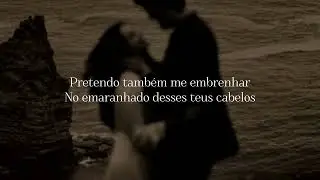 DISRITMIA - CASUARINA (LETRA)