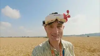 В облака и пшеницу