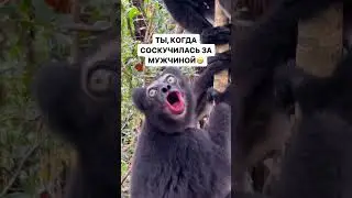 Ты, когда соскучилась