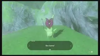 OnlyGameplay Ep. 103 | Tears of the Kingdom Pt. 26 | East Central Hyrule Korok Hunt