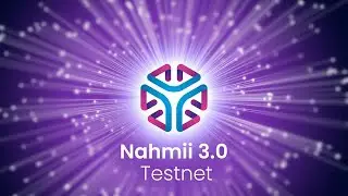 Nahmii | N3 Testnet Incentives Programs