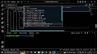 Implementing Splay Tree in C++ | Step-by-Step Guide with Comments | No Voice