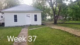 $6,000 fixer-upper Week 37: Grown from Seed