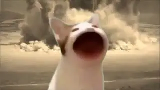 Popcat Air Raid siren