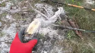 Easy Way To Remove Tree Stumps by Hand - in 5 Minutes