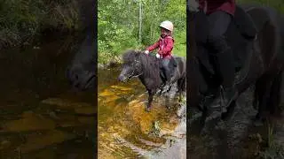 Trail ride with our ponies😍 #shorts #horseriding #horse