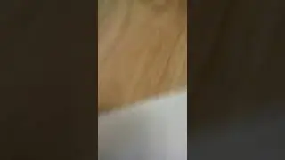 26 ноября 2019 г.