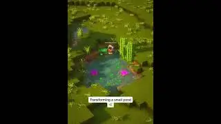 Transforming a small pond 🌿