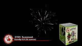 Батарея салютов D7085 Выживший