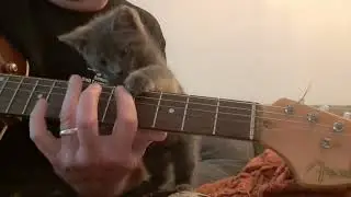Gus messing up my guitar practice