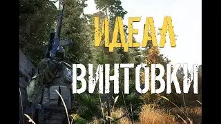 Sig550 | Stalker online