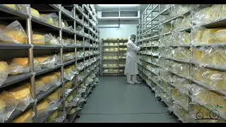 THE GOURMET GREEK: HANDCRAFTED CHEESE AND YOGHURT.