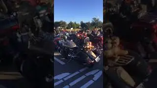 Teddy Bear Ride 2017 -- 1 hour before KSU--estimated 600 participants and growing.