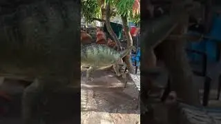 creative and funny