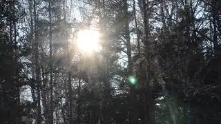 В черте города | Челябинск