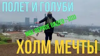 Полет и голуби