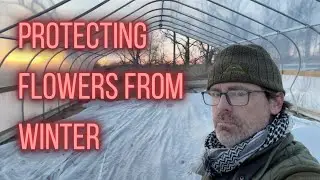 How to PROTECT Your FLOWERS During WINTER with Row Cover | PepperHarrow