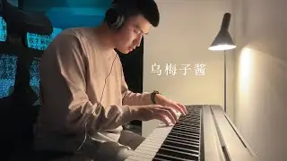 乌梅子酱