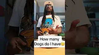 How many dogs do I have🤔