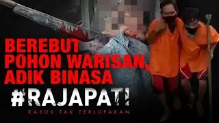 Berebut Pohon Warisan Adik Binasa | Rajapati Episode 371 antv