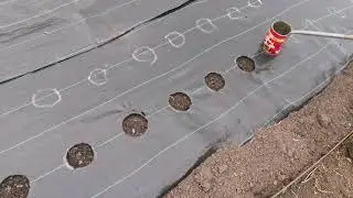 Как сделать отверстия на агроткани.
