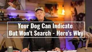 Your Dog Can Indicate But Won't Search - Here's Why