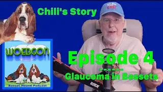 Episode 4: Glaucoma in bassets - Chili's Story - WOEBGON the Basset Hound Podcast