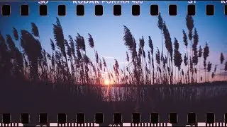 shooting the panoramic Lomography Sprocket Rocket 35mm (while having a nasty cold lol)
