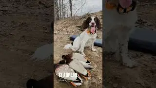 Утро с Друзьями на охоте