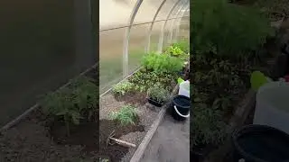 Немного работы под вечер 😉￼