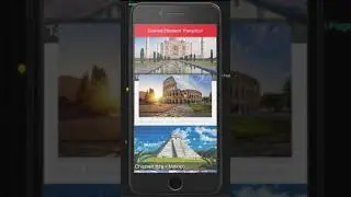 Transición de elementos animados en Flutter