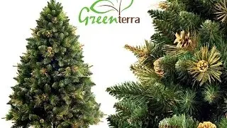 GreenTerra™ Сосна Сибирская с шишками, золото