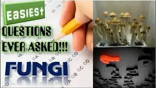 FUNGI | Easiest Questions ever asked in various Medical exams |