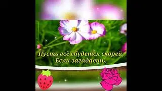 С первым днём лета!
