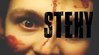 Stitches - Shawn Mendes ČESKY - Vít Soural (Stehy)
