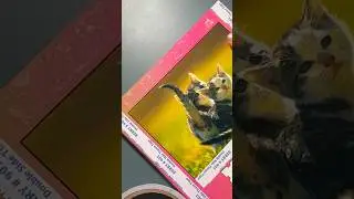 ОФОРМЛЕНИЕ ТЕТРАДКИ!!(+ история)