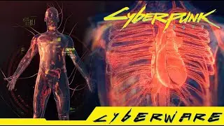 Cyberpunk 2077 - Where can you get Microrotors Epic Cyberware