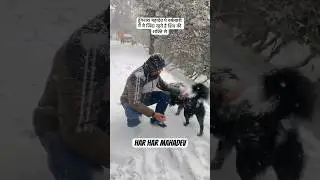 तुंगनाथ महादेव पे बर्फ़बारी में ये ज़िंदा रहते है शिव की शक्तिसे #uttarakhand #shorts #short #viral