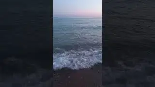 1 августа 2024 г.