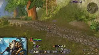 Turtle WoW Dwarf Paladin Hardcore Adventures