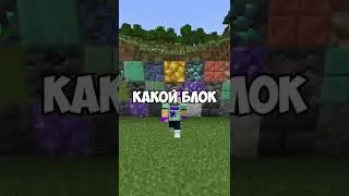 The Most Secret Block in Minecraft