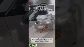 авто в собственность независимо от бюджета
