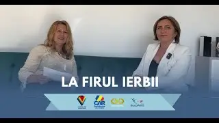 La firul Ierbii cu Anda Rață: rolul contabilității și consultanței în dezvoltarea antreprenorială