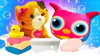 Hophop Resgata e Cuida de um Gatinho! Video Infantil🐾🦉🐱