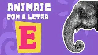 Animais com a letra E -  Quebra Cabeça divertido com som dos animais